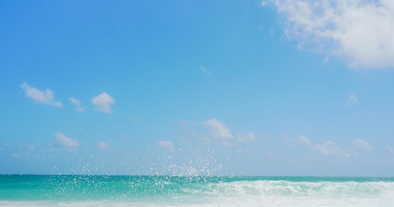 Research Publication Header